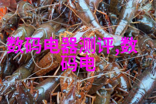小型除尘器高效环保家用清洁设备
