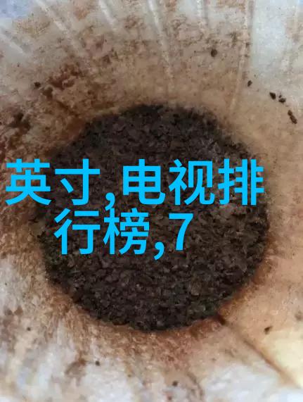 厨房里的激战2海外版 - 海外美食挑战翻转厨房的国际风味大冒险
