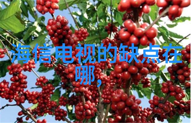 常州机电职业技术学院我的机械梦之地