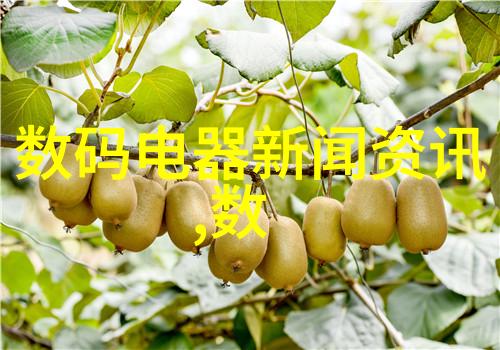 绿色环保社区如何通过共享塑料分离器减少浪费