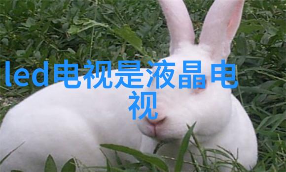 冰点智造冷冻设备的技术革新与应用前景