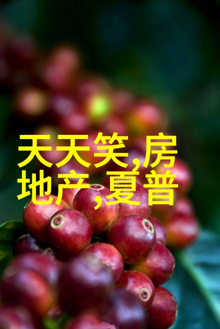如何评价环型颗粒作为高效率可持续性的现代化规整材料