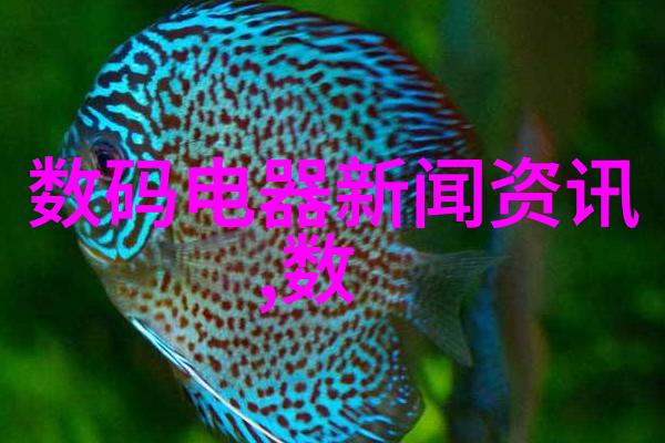 软刺玫瑰一抹温柔的痛痒