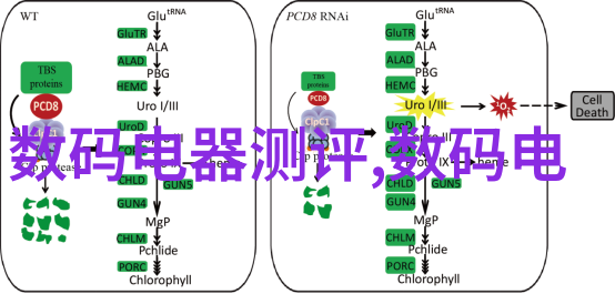 高压蒸汽灭菌锅性能参数与操作规范