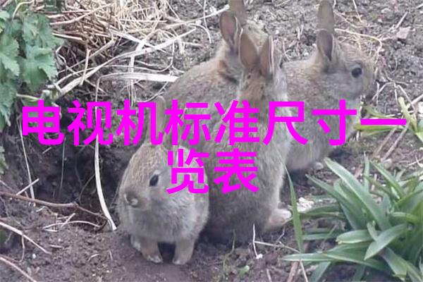 不锈钢材价格今日报价表-市场动态不锈钢材最新报价分析与预测