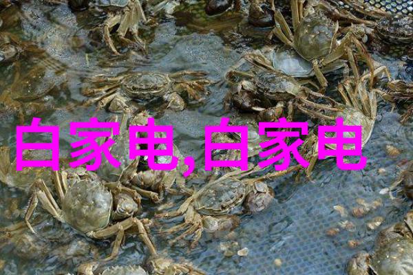 展柜恒温恒湿机专业级别的环境控制设备