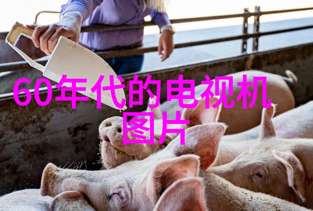 药品制造-精密压制片剂机械的工艺探究
