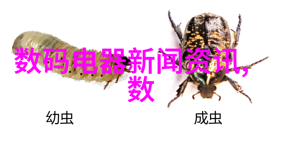 全自动蒸汽发生器-智能升级全自动蒸汽发生器的未来趋势与应用实例