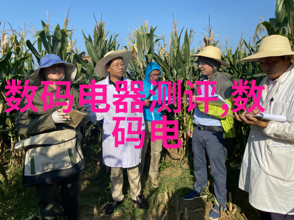 应对全球供应链挑战多元化加工和储存方案探讨