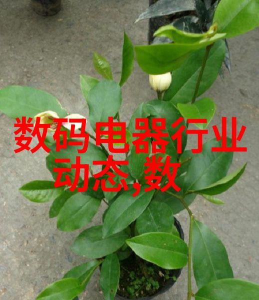 戮仙 萧鼎 小说 - 逆袭之萧鼎天界的孤狼