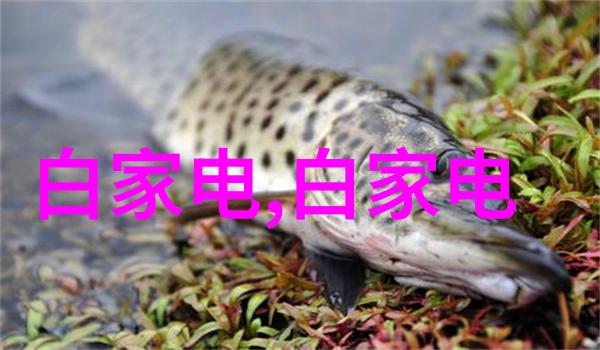 我们应该如何选择一个可靠的废旧设备处理服务提供者
