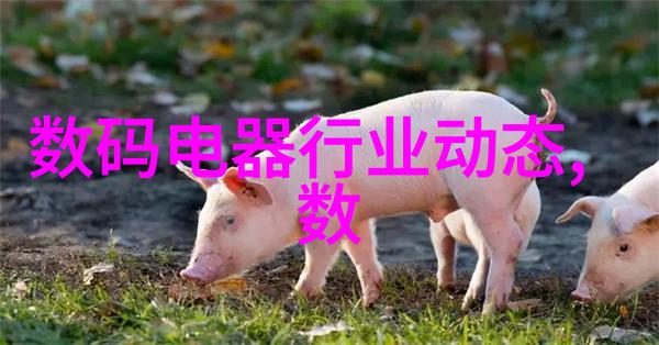 疯狂72小时 电影我的荒谬冒险记