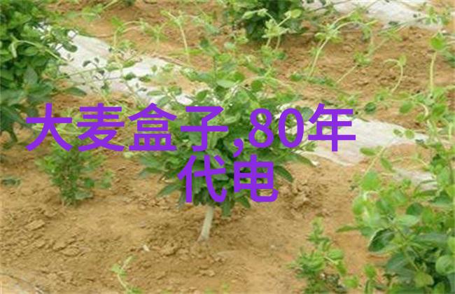 PVC管与PPR管的区别哪种才是你的最佳选择