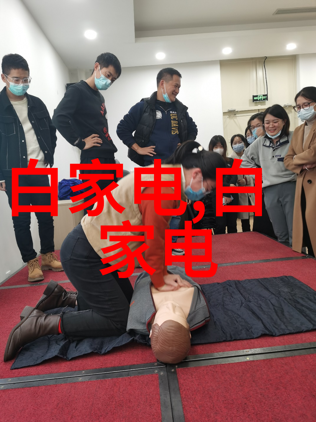 寻回宠儿娇生惯养四脚家人归来路