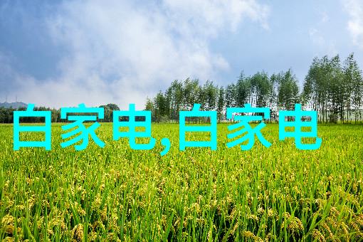 套管式换热器的工作原理解析
