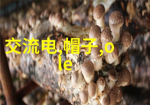 科学与技术-螺旋分离器精准分割未来