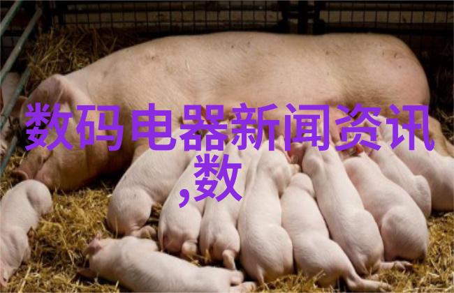 皇帝下朝赐玉见客古代帝王的宴请仪式