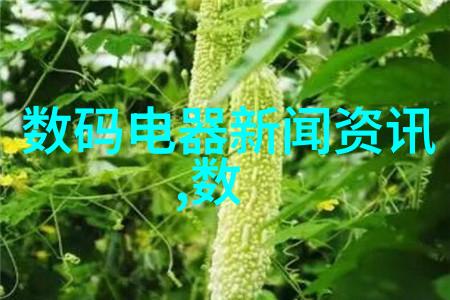 如何选择适合我家的兔宝宝的笼子和用品