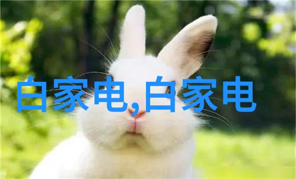输送设备制造生产厂家高效物料搬运的专家