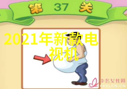 常用家用电器有哪些我来告诉你这些必备的好帮手