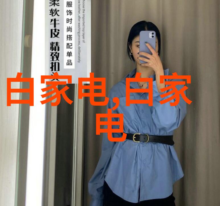 卫生阀-清洁守护者卫生阀的重要性与日常维护