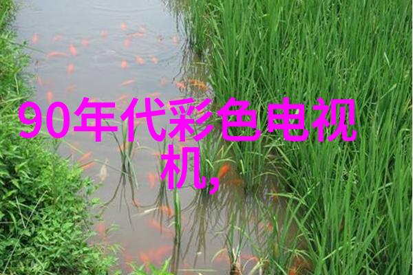 红箭射击中兵股市新篇章