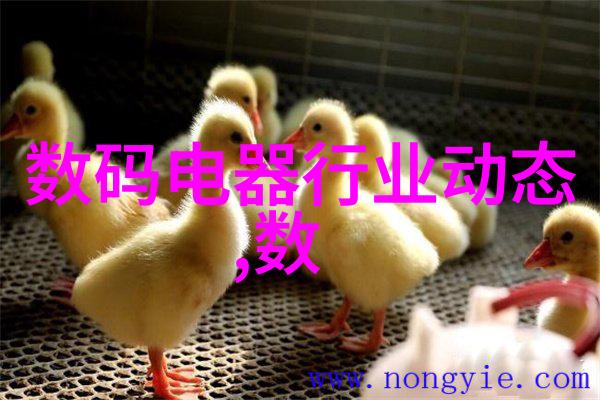 不锈钢加工厂铸就工业的光辉岁月