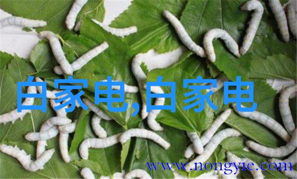 化工丸剂机械高效稳定化工生产的关键设备