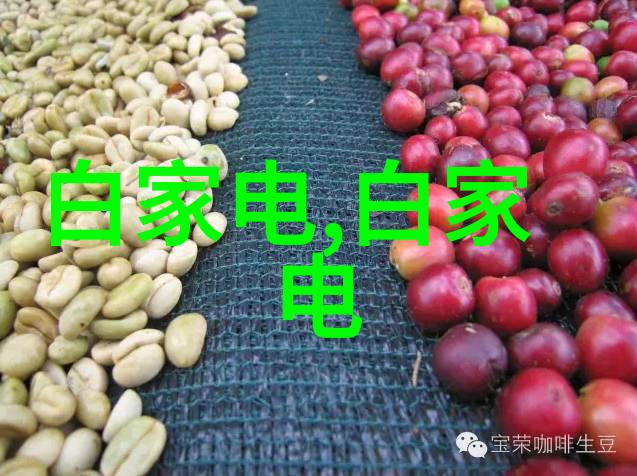 工业流程中的轮廓者滚筒输送设备的故事