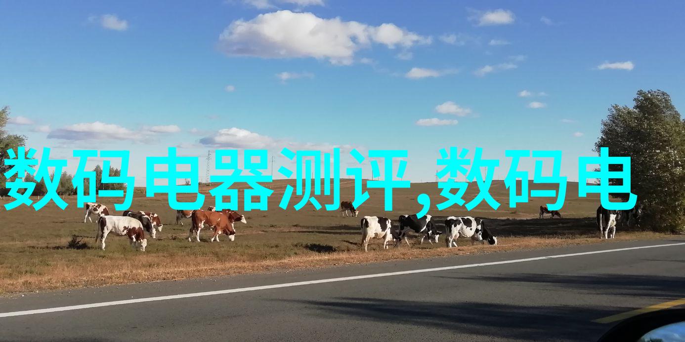 dn50鲍尔环螺旋时间的秘密守护者