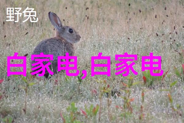 如何确定一次井水检测的费用