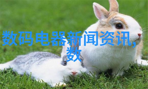 主题我来教你如何简单地纯化水制水机组