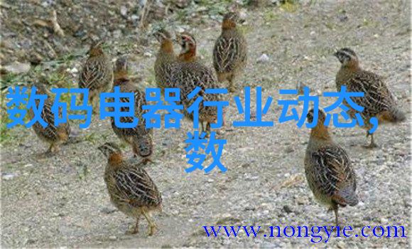 为何要定期对自家私人游泳池进行水质测试和维护呢我该去哪儿做这些测试