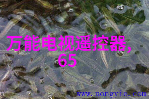 芯片的双面剖析微小世界的复杂对立