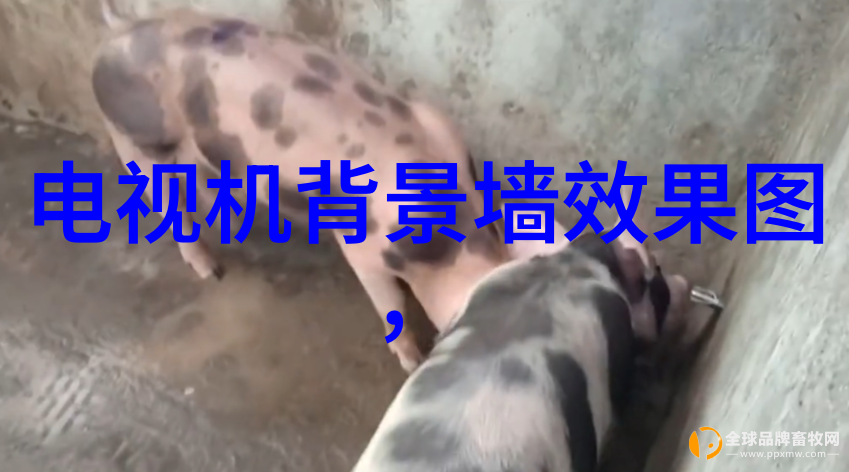冰凉的守护者溴化锂冷水机的故事