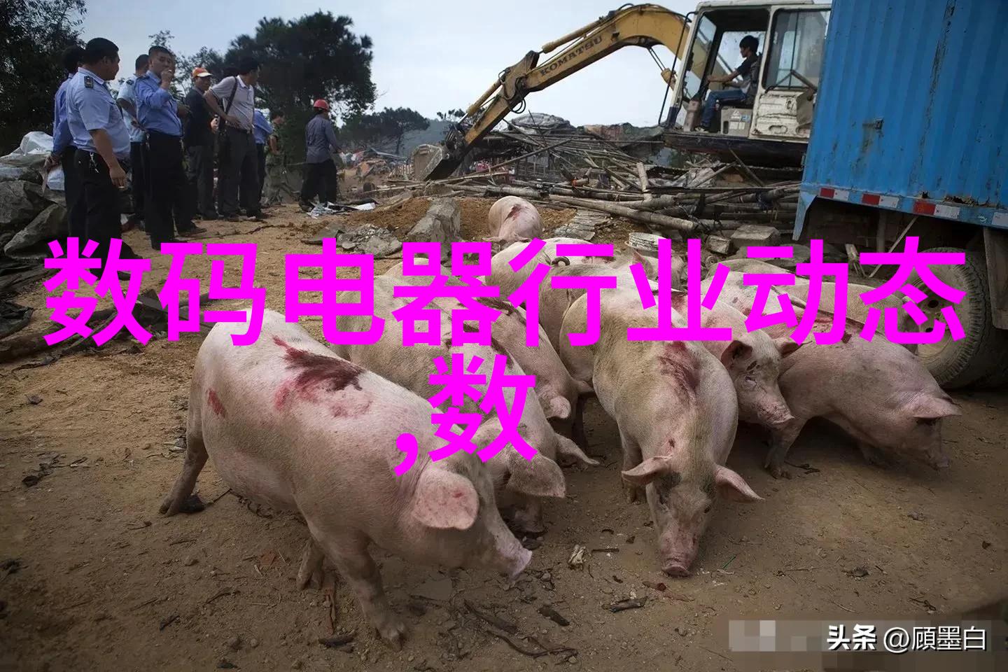 石英砂填料及其在建筑物中的应用探究