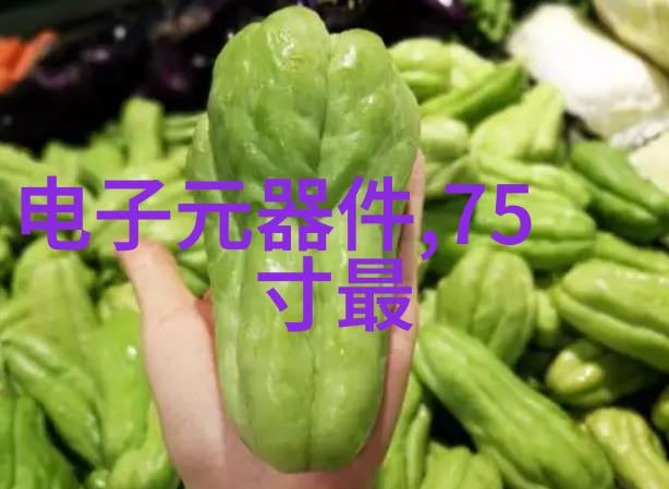 格兰仕微波炉的宇宙烹饪之旅跨越时间与空间的热能之谜