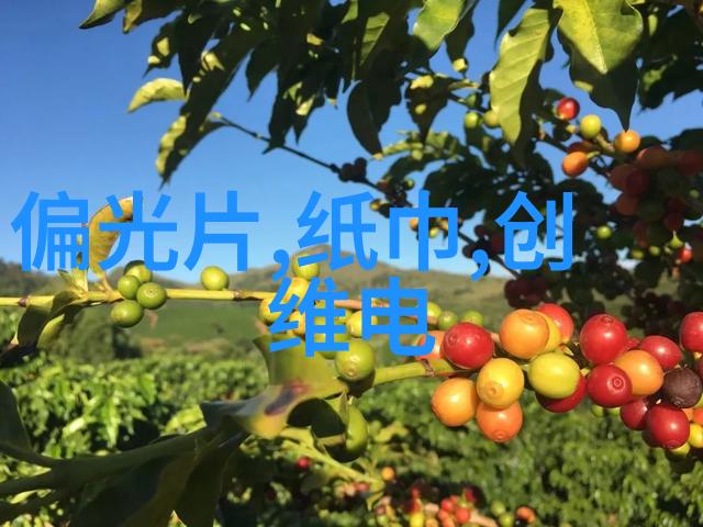 项目可行性报告编制指南构建成功项目的基石