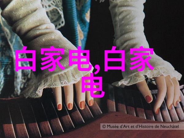 电蒸汽发生器蒸箱我是如何用它来做出美味家常菜的