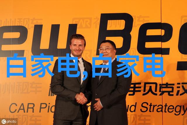 视觉补充-探索a组填料图片的艺术与科技视觉补充的新纪元
