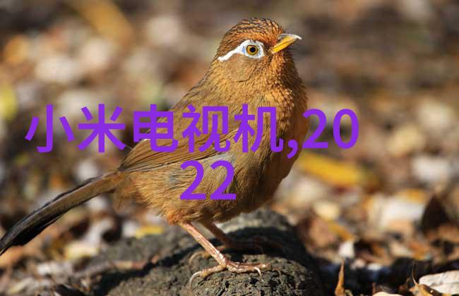数字时代的宝库软件下载之旅