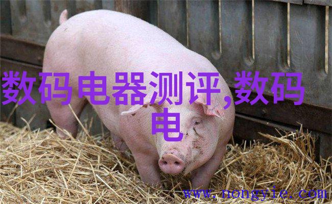 环境友好型生活方式家庭用的一体化小型废水处理系统探索