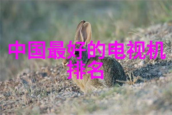 丑仙隐世之光与尘世之影