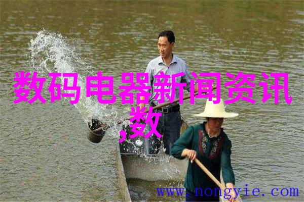 赐予纯净的白色探索无瑕的艺术与生活之美