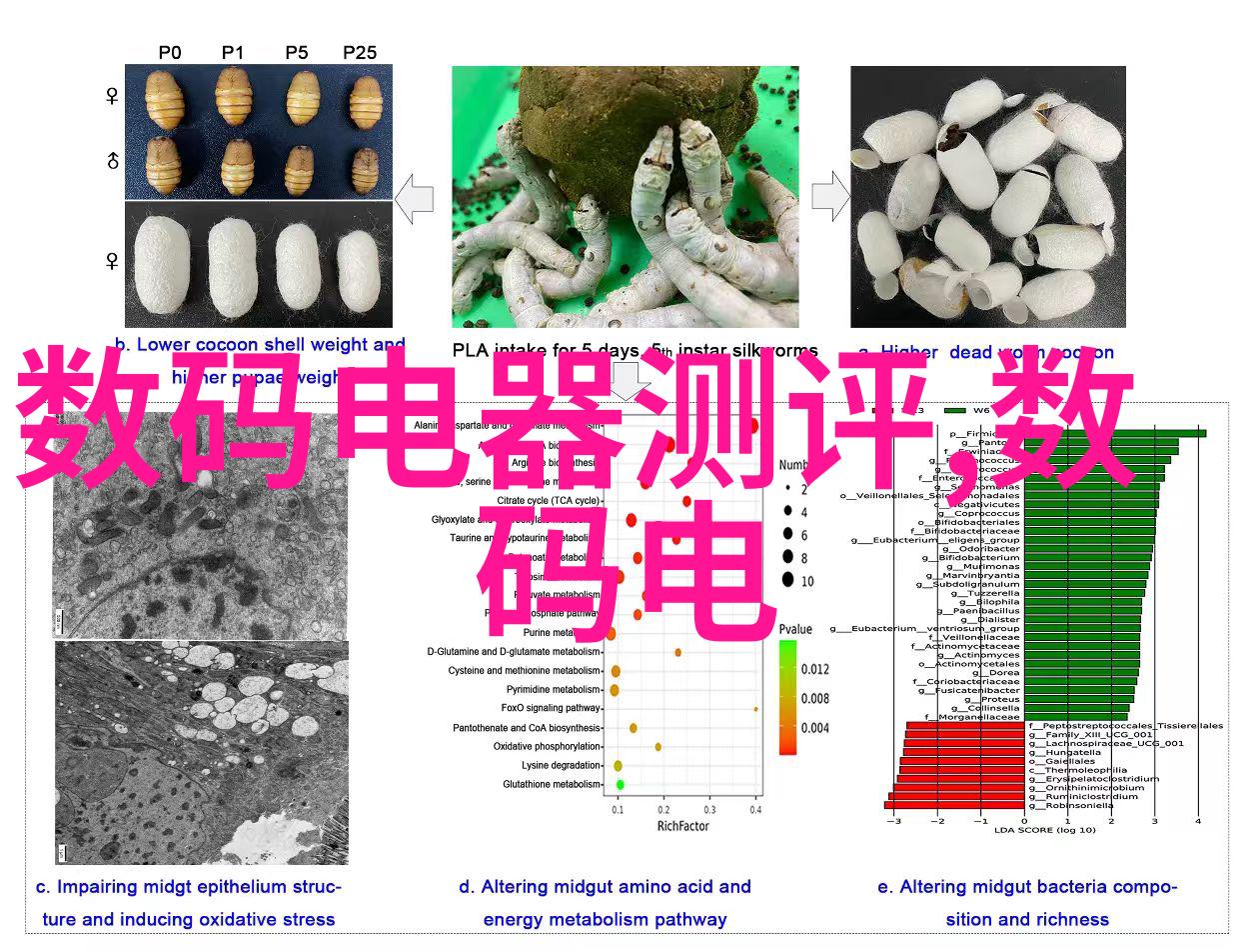 矿物干燥之道氯化钙的脱水奇迹