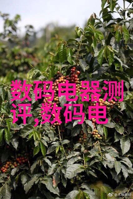 切制-精准剪裁探索食品加工的艺术与科学
