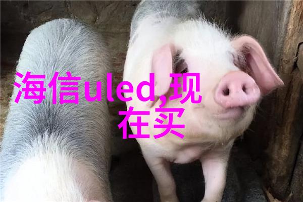 甜蜜诱惑迈开腿让我尝尝你的草莓