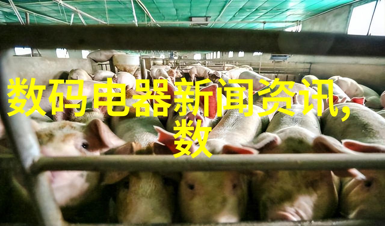 塑料之网中国的纺织梦想