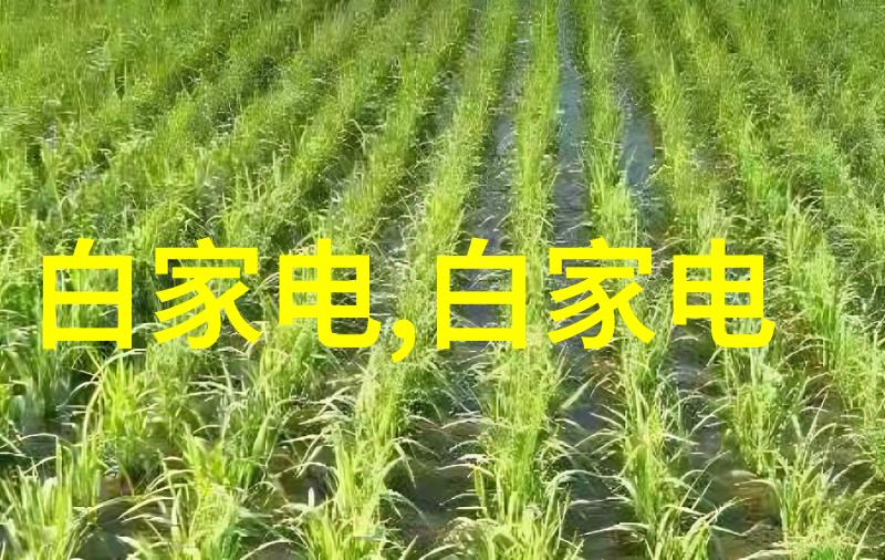 五金工具批发市场剖析行业动态与采购策略