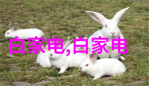 丝网填料阻力我的工程难题解析